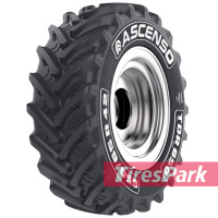 Ascenso TDR 650 (с/г) 540/65 R28 149D