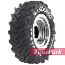 Ascenso TDR 650 (с/г) 540/65 R28 149D