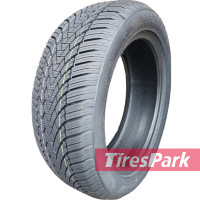 Fronway IceMaster I 205/45 R16 87V XL