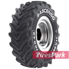 Ascenso XLR 880 (с/г) 650/85 R38 173D