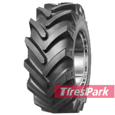 Armour R-1 (c/х) 8.30 R24 100A6 PR8