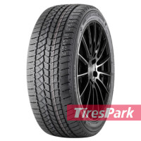 Doublestar WINTERKING DW02 215/75 R15 100S
