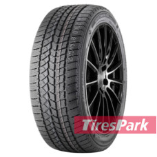 Doublestar WINTERKING DW02 205/65 R15 94T