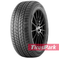 Doublestar WINTERKING DW09 315/35 R20 106T