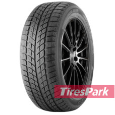 Doublestar WINTERKING DW09 215/45 R17 91H XL