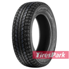 Doublestar WINTERKING DW07 205/70 R15 96T (под шип)